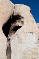 Joshua Tree Indian Crevice