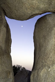 joshua rtree stone