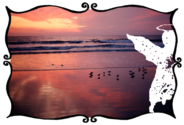 angelic sunsets graphic by la marler santa monica beach